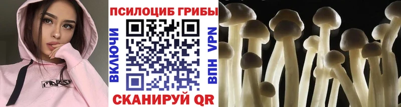 Купить где  Назарово  Галлюциногенные грибы Psilocybine cubensis 